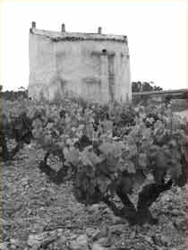 Historia Historia